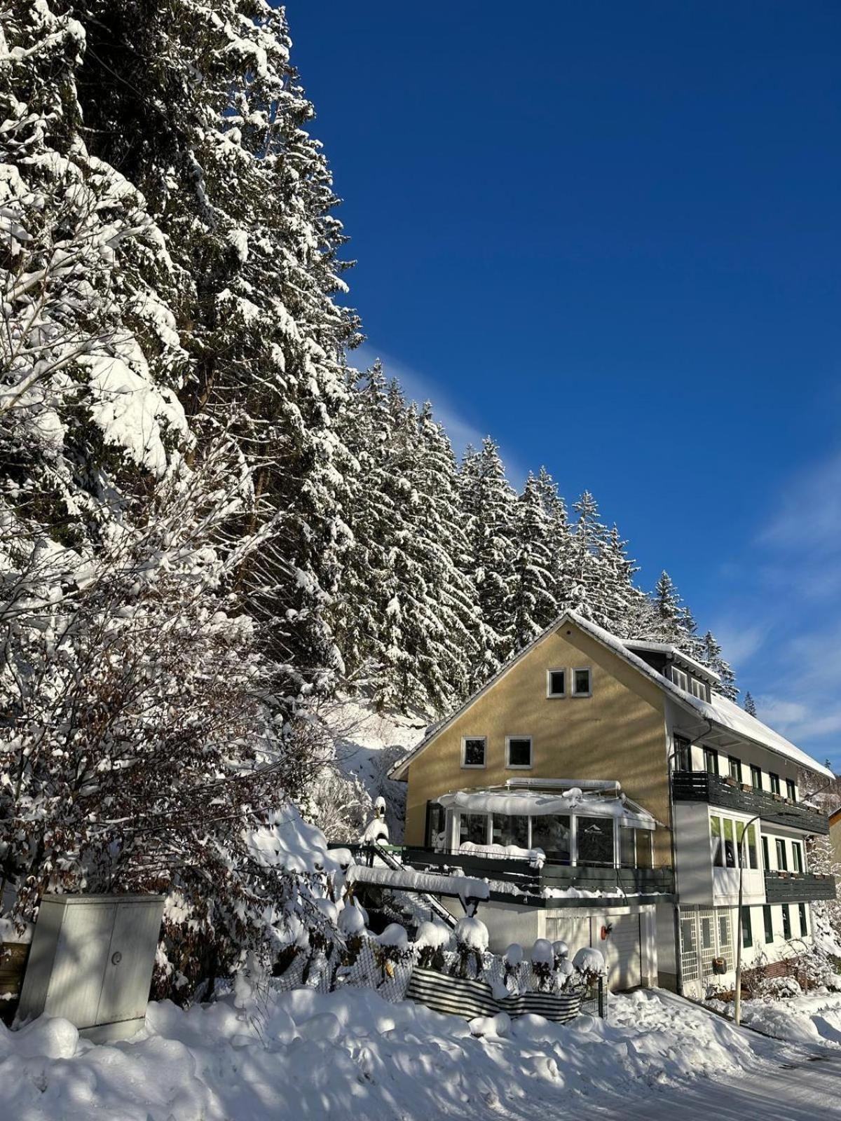 Haus Georgenhoehe 빌데만 외부 사진