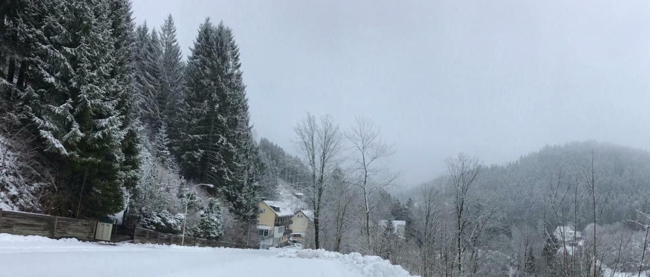 Haus Georgenhoehe 빌데만 외부 사진